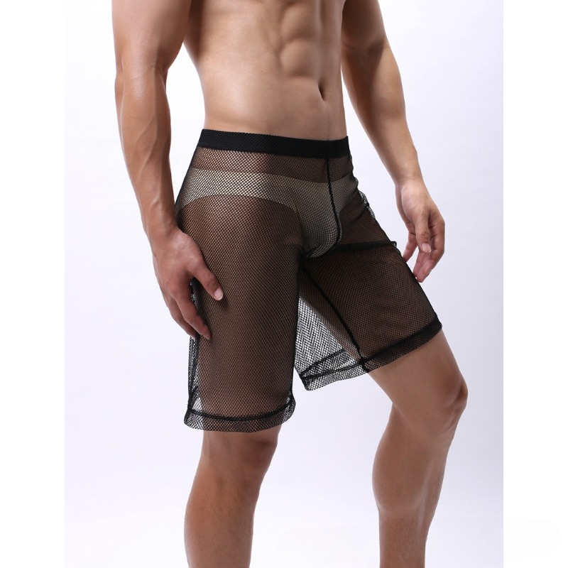 Low Rise Mesh Erotic Underwear - đánh giá và giá Trunk Breathable Men