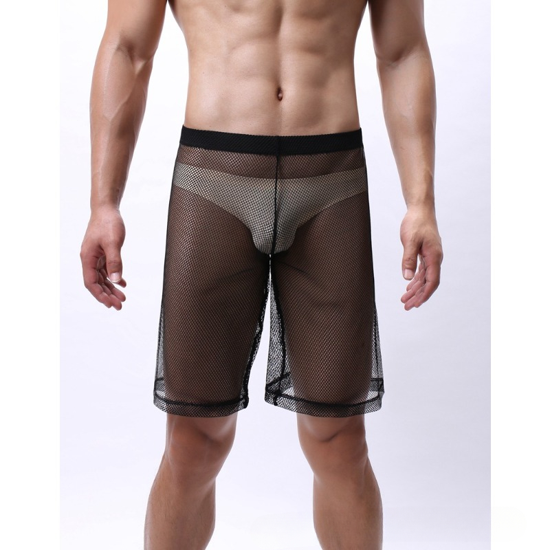 Low Rise Mesh Erotic Underwear - đánh giá và giá Trunk Breathable Men