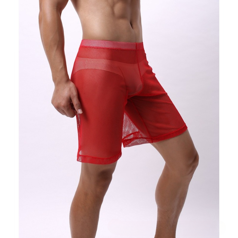 Low Rise Mesh Erotic Underwear - đánh giá và giá Trunk Breathable Men