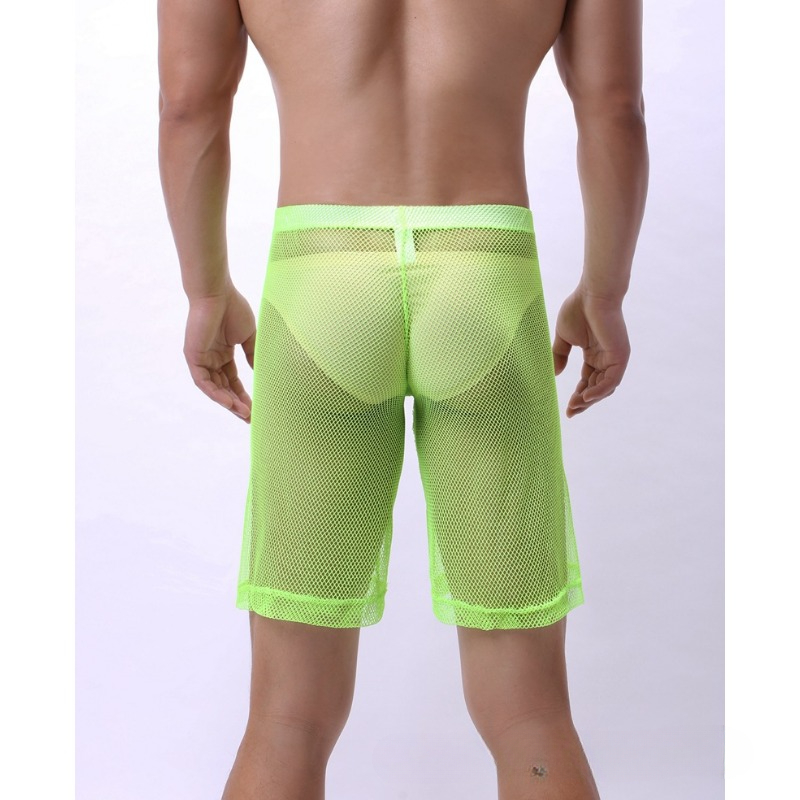Low Rise Mesh Erotic Underwear - đánh giá và giá Trunk Breathable Men